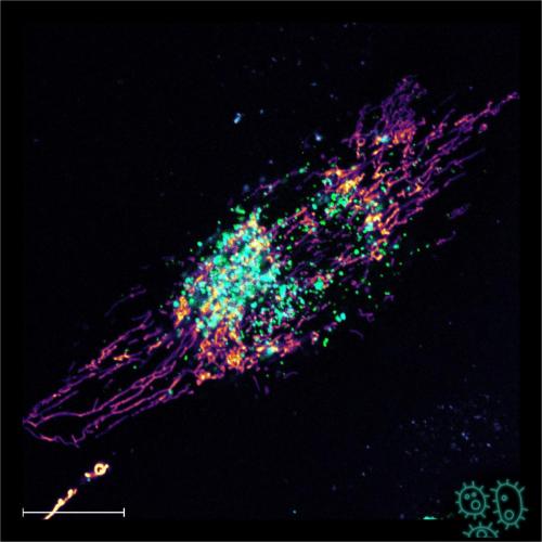 Nanoparticle mess